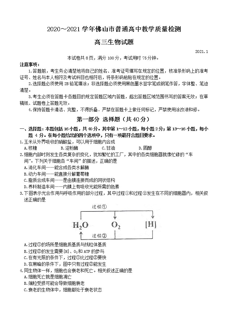广东省佛山市2021届高三上学期教学质量检测（一模）生物 (含答案)01