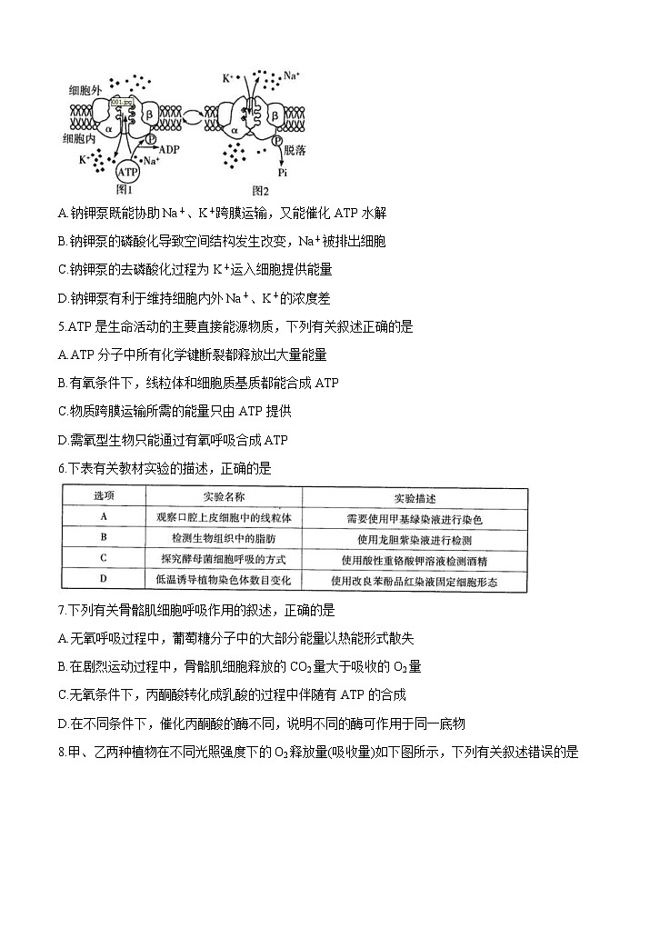 河南省周口市商丘市大联考2021届高三高中毕业班阶段性测试（三）生物 (含答案)第2页