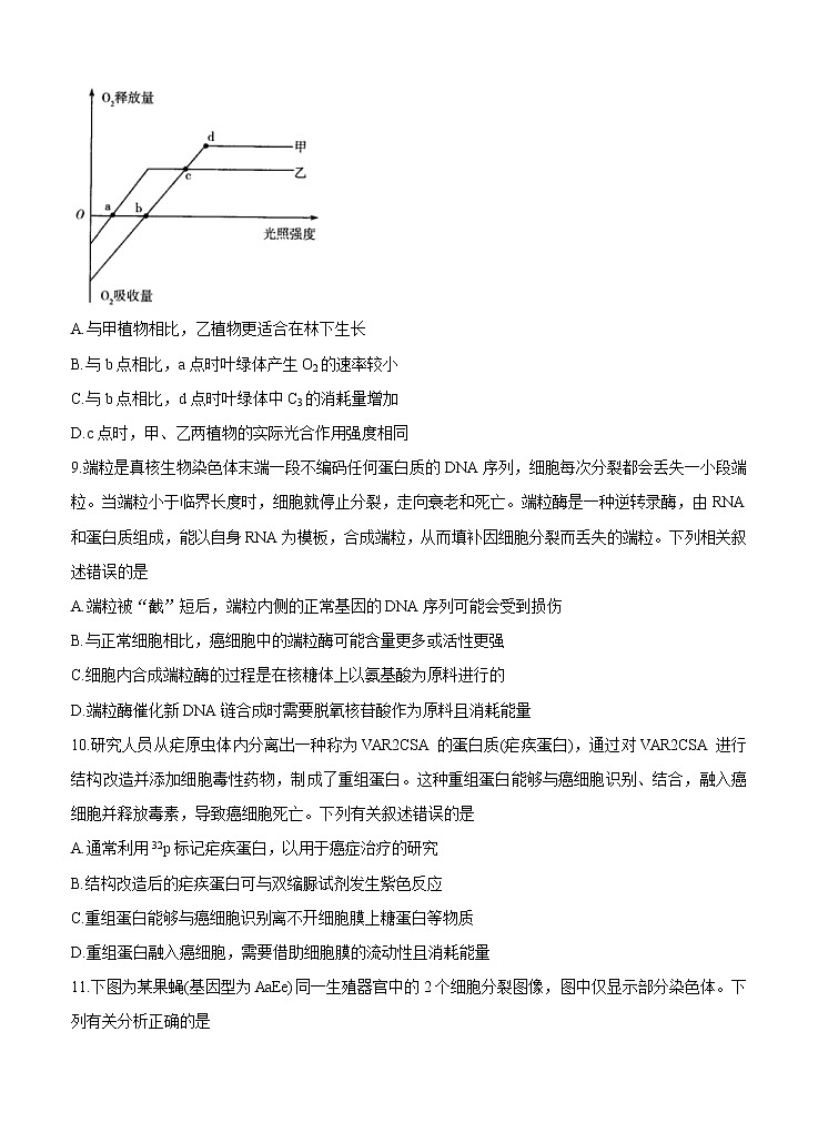 河南省周口市商丘市大联考2021届高三高中毕业班阶段性测试（三）生物 (含答案)第3页