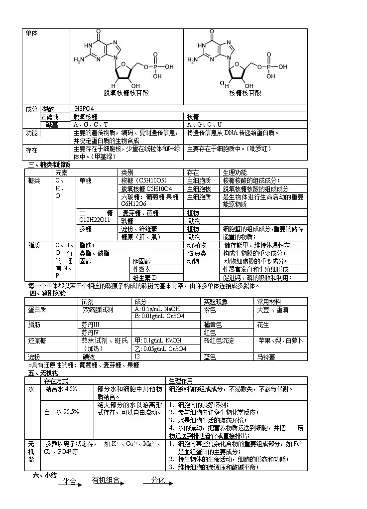 高考生物必修一二三知识点总结(人教版)_侧重知识梳理_56页03