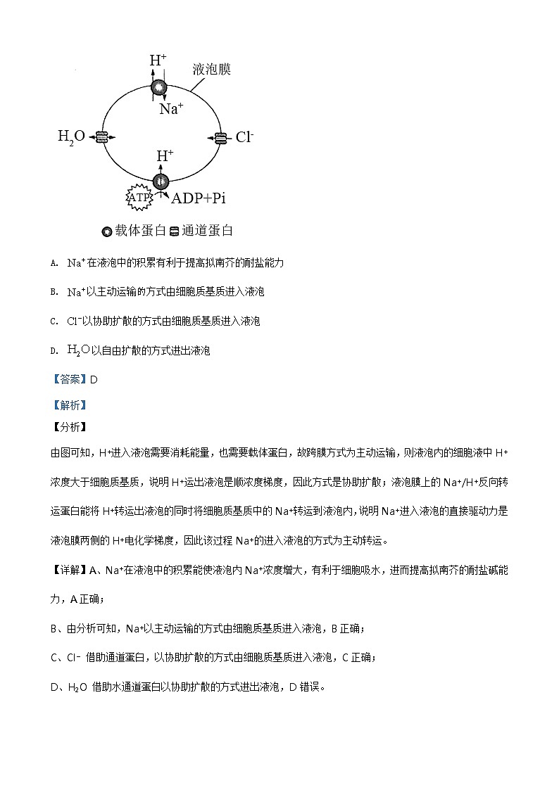 全国八省联考2021年湖北省普通高等学校招生全国统一考试模拟演练生物试题（解析版）03
