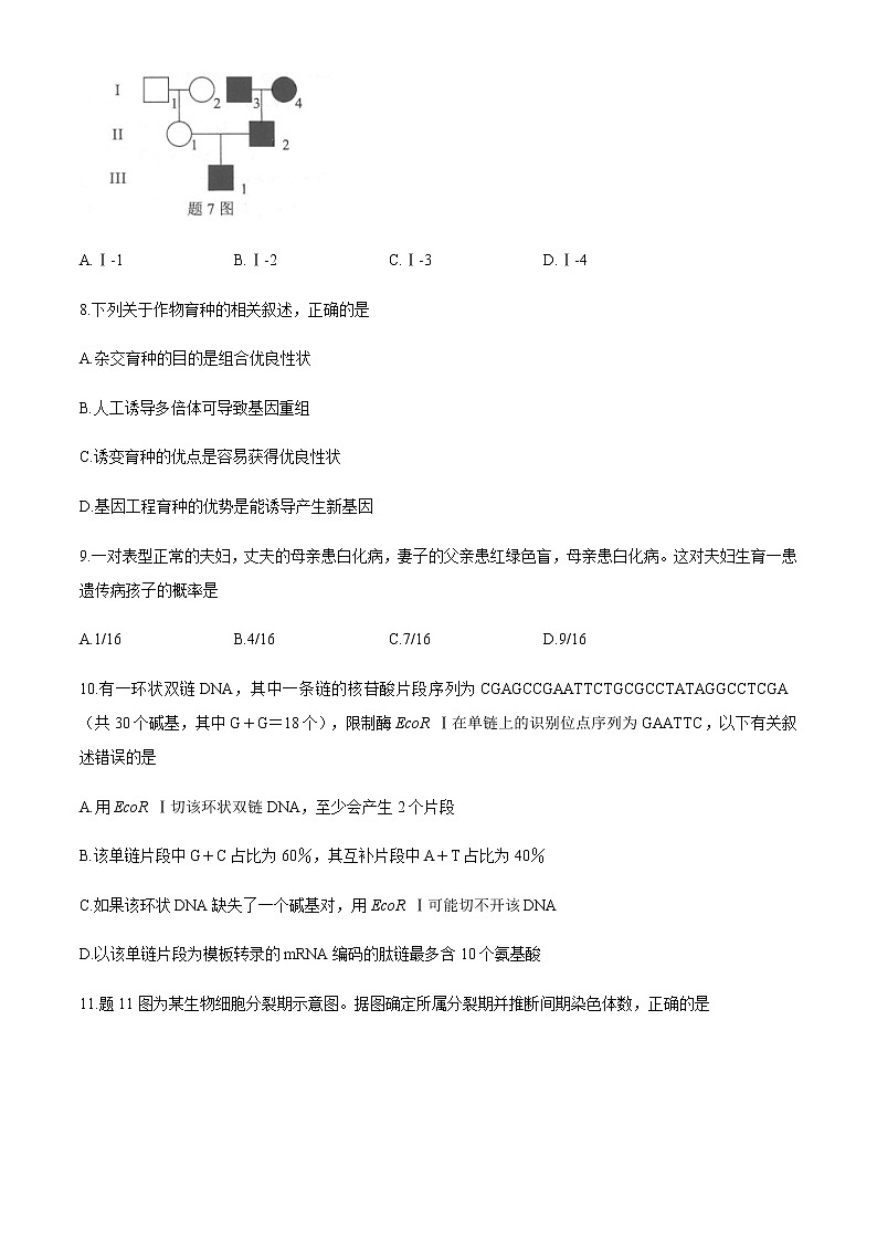 全国8省联考2021年1月重庆市普通高中学业水平选择性考试适应性测试生物试题第3页