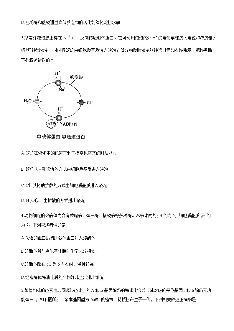 全国8省联考2021年1月湖北省普通高中学业水平选择性考试模拟演练生物试题02