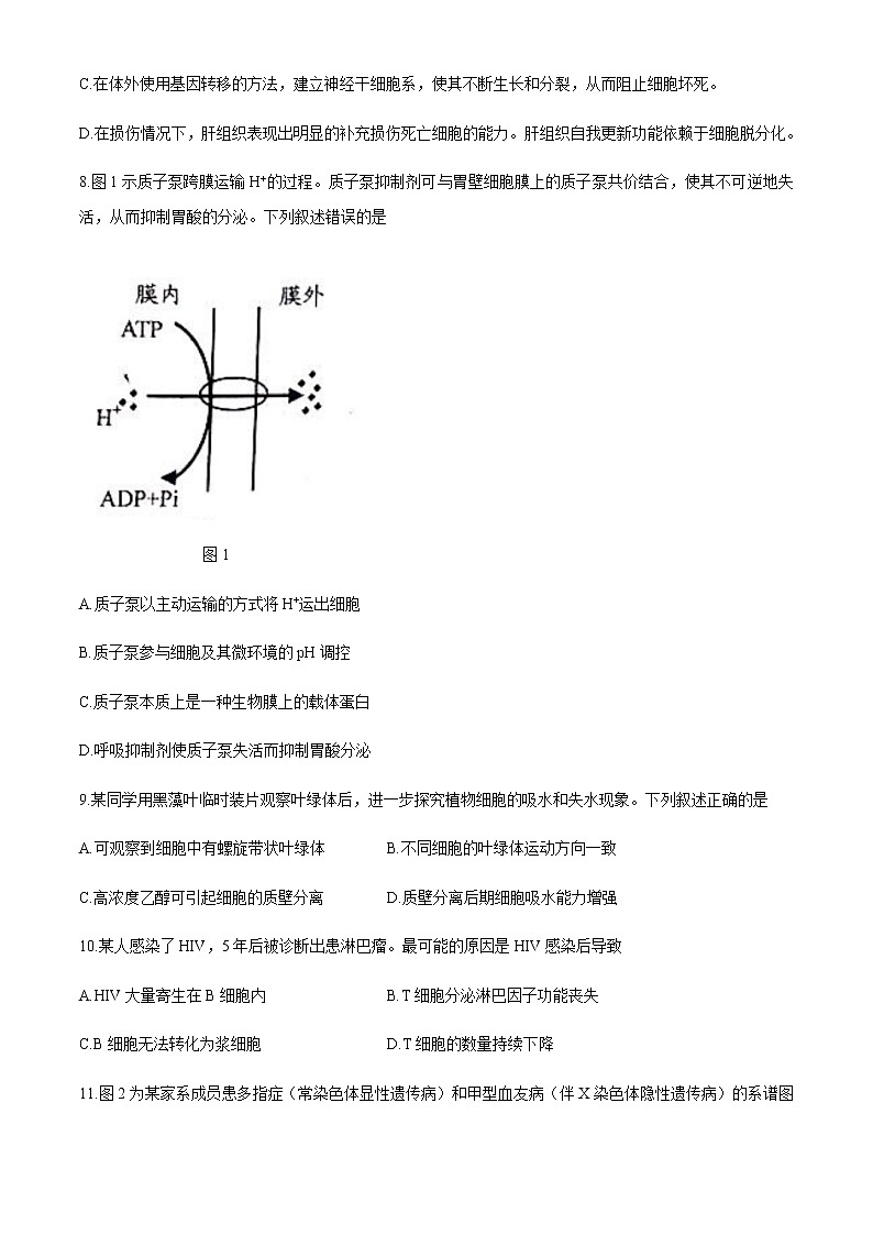 全国8省联考2021年1月广东省普通高中学业水平选择考适应性测试生物试题03