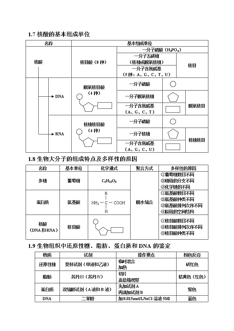 11.1高中生物知识点总结(全)第3页