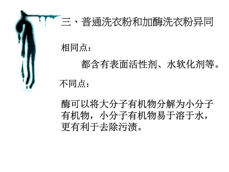 生物：第二部分《实验五 加酶洗衣粉的使用条件和效果》课件5（浙科版选修1）05