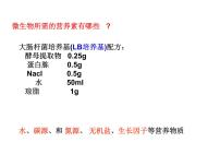 生物选修1《生物技术实践》专题3 植物的组织培养技术课题2 月季的花药培养图文课件ppt