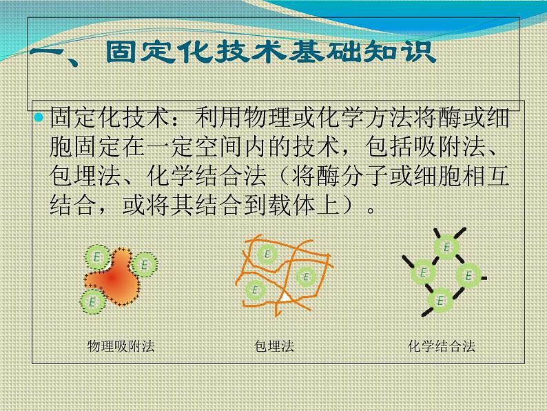 生物：第二部分《实验六 α-淀粉酶的固定化及淀粉水解作用的检测》课件14（浙科版选修1）03