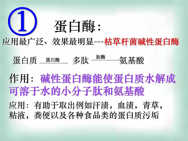 生物：第二部分《实验五 加酶洗衣粉的使用条件和效果》课件9（浙科版选修1）06