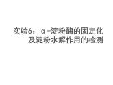 生物：第二部分《實(shí)驗(yàn)六 α-淀粉酶的固定化及淀粉水解作用的檢測(cè)》課件6（浙科版選修1）