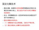 生物：第二部分《实验六 α-淀粉酶的固定化及淀粉水解作用的检测》课件6（浙科版选修1）