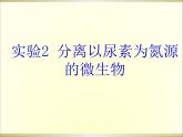 生物：第一部分《实验二 微生物的培养和利用》课件3（浙科版选修1）