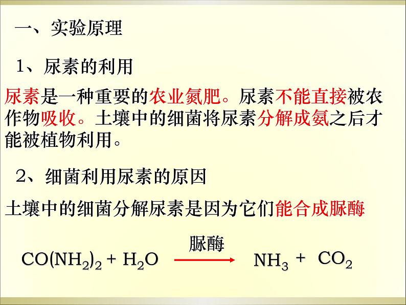 生物：第一部分《实验二 微生物的培养和利用》课件3（浙科版选修1）第2页