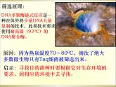 生物：第一部分《实验二 微生物的培养和利用》课件3（浙科版选修1）