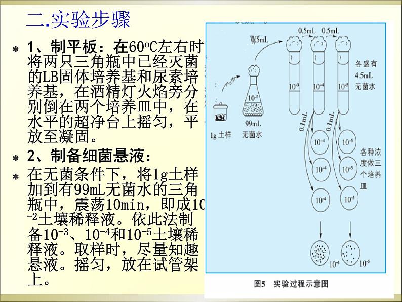 生物：第一部分《实验二 微生物的培养和利用》课件3（浙科版选修1）第8页