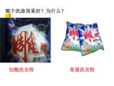 生物：第二部分《实验五 加酶洗衣粉的使用条件和效果》课件3（浙科版选修1）