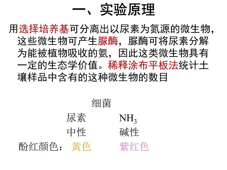 生物：第一部分《实验二 微生物的培养和利用》课件5（浙科版选修1）04