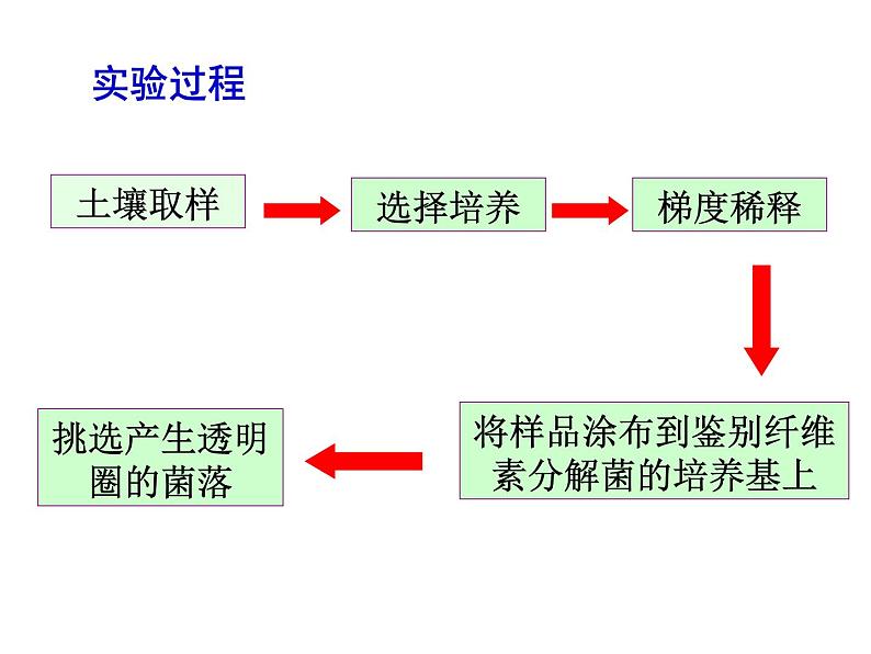 生物：第一部分《实验三 观察土壤中能水解纤维素的微生物》课件1（浙科版选修1）第5页