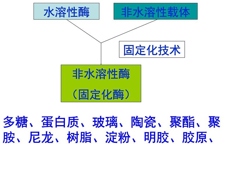 生物：第二部分《实验六 α-淀粉酶的固定化及淀粉水解作用的检测》课件11（浙科版选修1）第3页