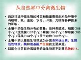 生物：第一部分《實(shí)驗(yàn)二 微生物的培養(yǎng)和利用》課件8（浙科版選修1）