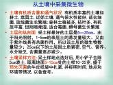 生物：第一部分《實(shí)驗(yàn)二 微生物的培養(yǎng)和利用》課件8（浙科版選修1）