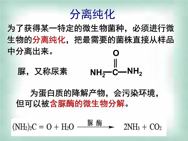 生物：第一部分《实验二 微生物的培养和利用》课件8（浙科版选修1）04