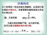 生物：第一部分《实验二 微生物的培养和利用》课件8（浙科版选修1）