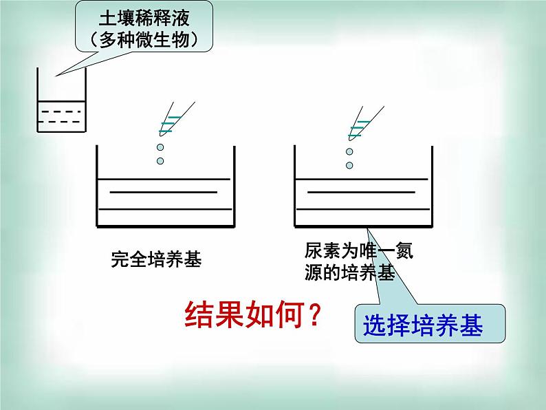 生物：第一部分《实验二 微生物的培养和利用》课件8（浙科版选修1）05