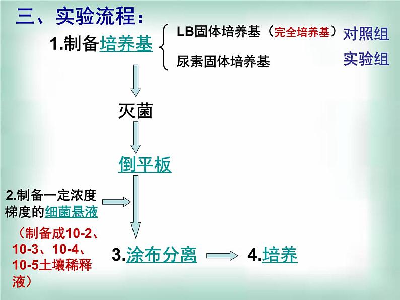 生物：第一部分《实验二 微生物的培养和利用》课件8（浙科版选修1）08