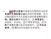 生物：第二部分《實(shí)驗(yàn)四 果汁中的果膠和果膠酶》課件13（浙科版選修1）