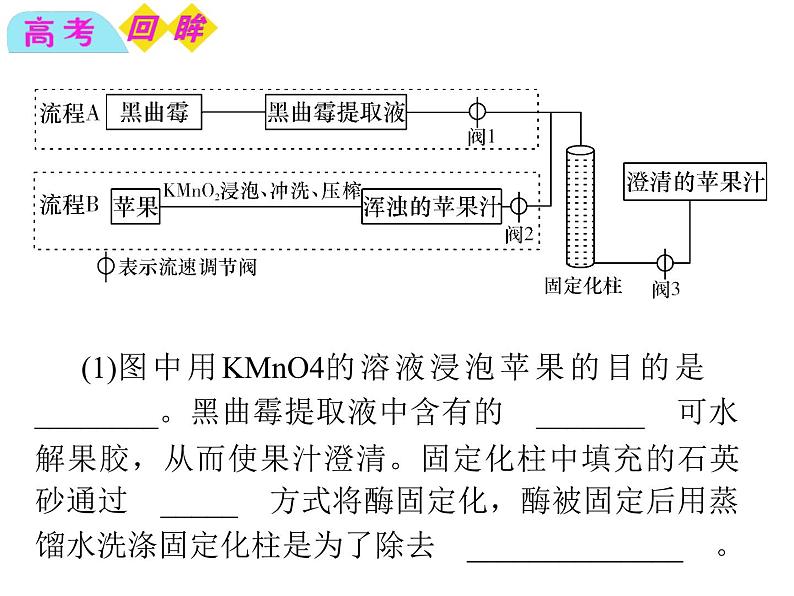 生物：第二部分《实验四 果汁中的果胶和果胶酶》课件1（浙科版选修1）03