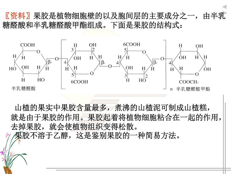 生物：第二部分《实验四 果汁中的果胶和果胶酶》课件3（浙科版选修1）05