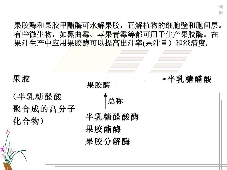 生物：第二部分《实验四 果汁中的果胶和果胶酶》课件3（浙科版选修1）06