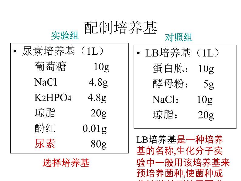 生物：第一部分《实验二 微生物的培养和利用》课件6（浙科版选修1）08