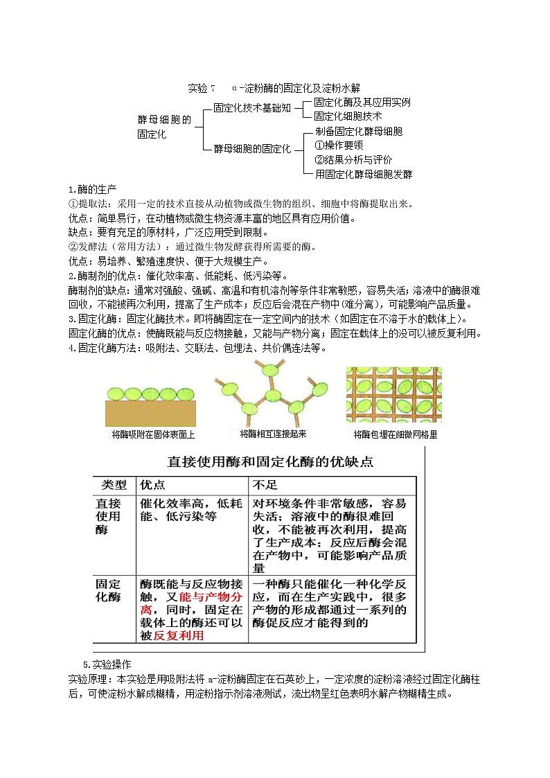 生物：第二部分《实验六 α-淀粉酶的固定化及淀粉水解作用的检测》教案3（浙科版选修1）01