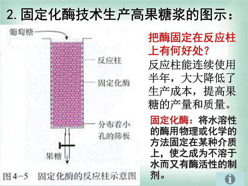 生物：第二部分《实验六 α-淀粉酶的固定化及淀粉水解作用的检测》课件13（浙科版选修1）第8页