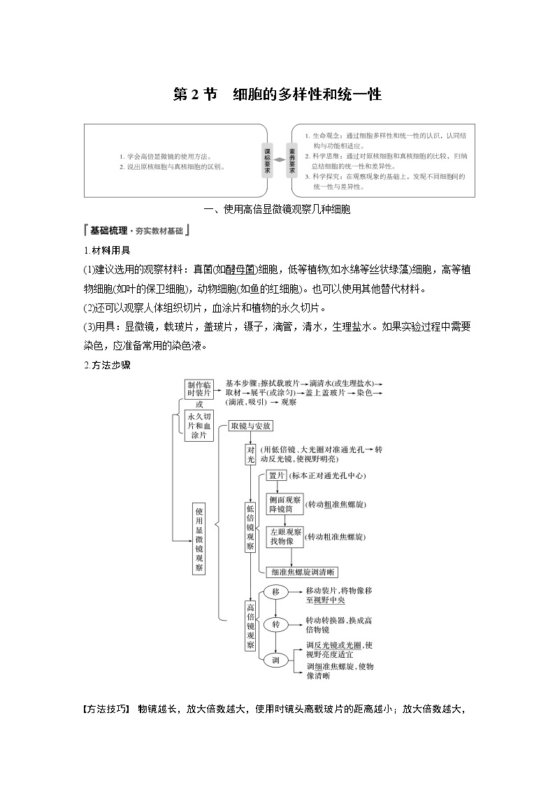 高中生物人教版（2019）必修第一册  第1章 第2节　细胞的多样性和统一性教案01