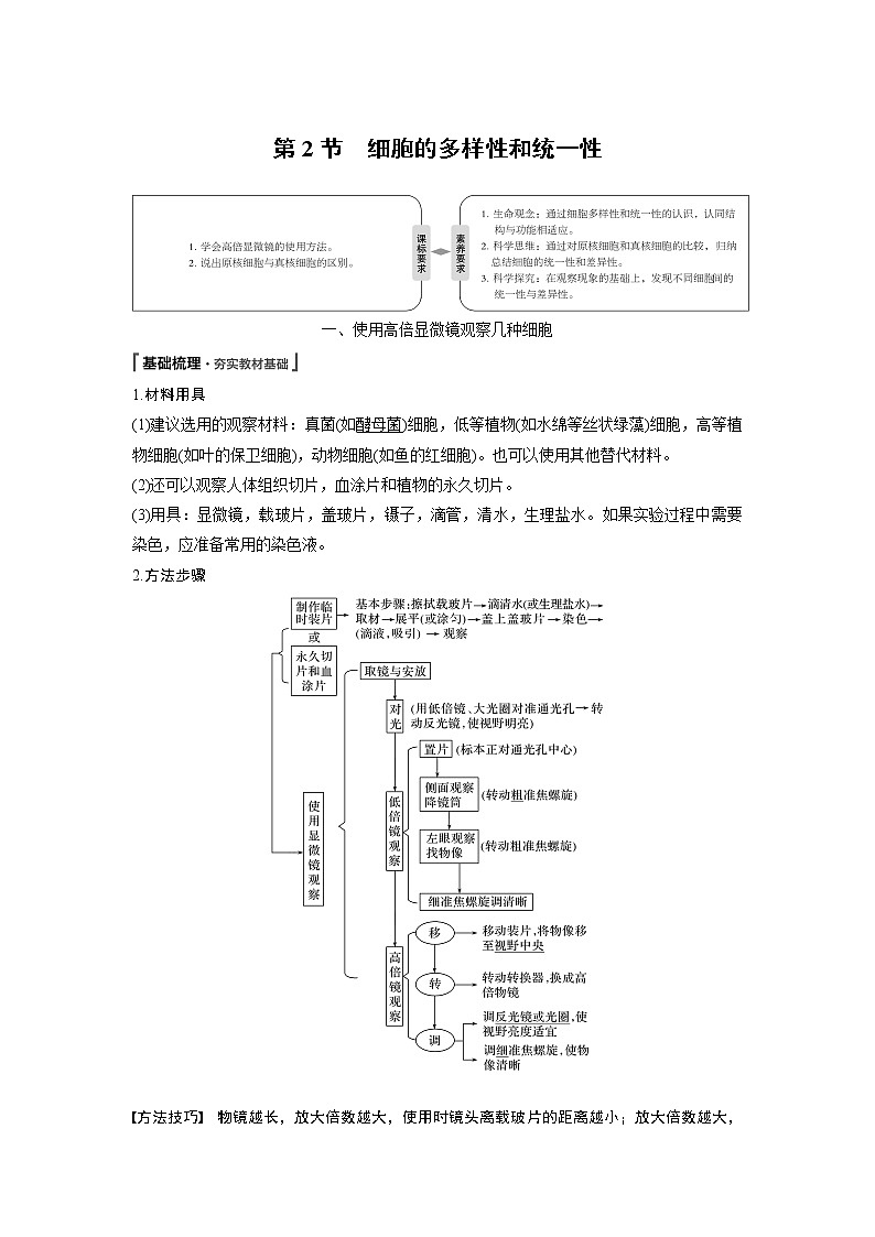 高中生物人教版（2019）必修第一册  第1章 第2节　细胞的多样性和统一性教案01
