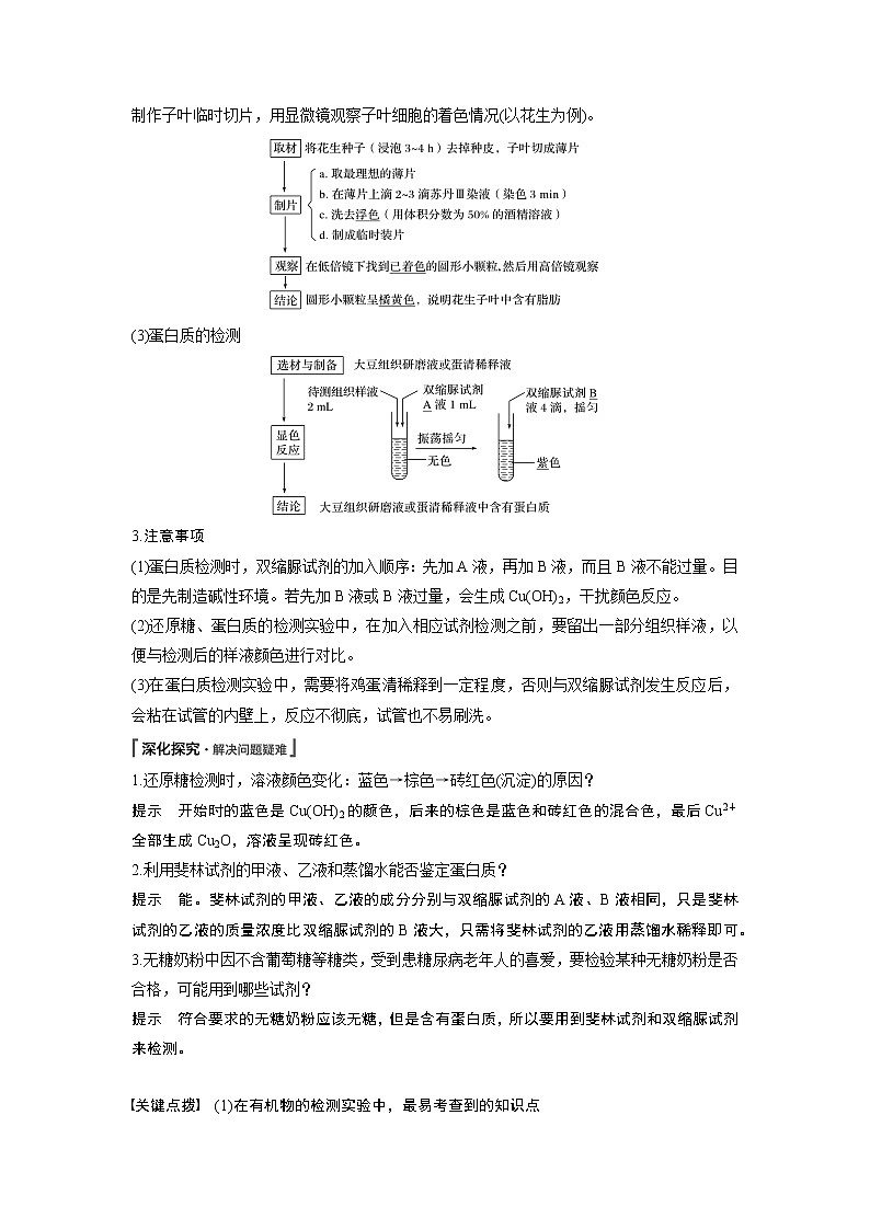 高中生物人教版（2019）必修第一册  第2章 第1节　细胞中的元素和化合物教案03