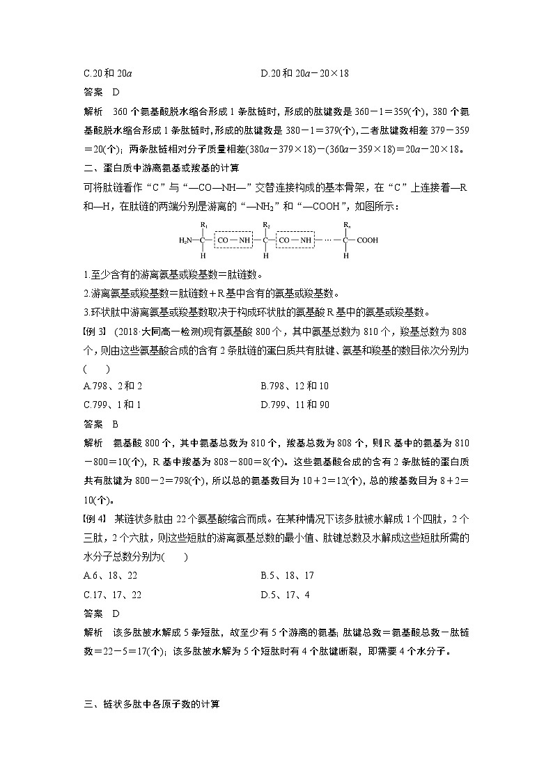 高中生物人教版（2019）必修第一册  第2章 微专题一  与蛋白质合成与分解的有关计算教案02