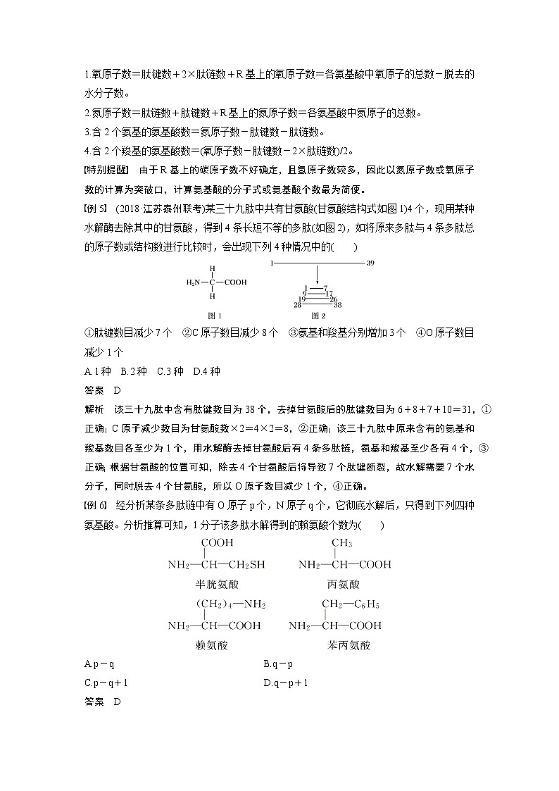 高中生物人教版（2019）必修第一册  第2章 微专题一  与蛋白质合成与分解的有关计算教案03