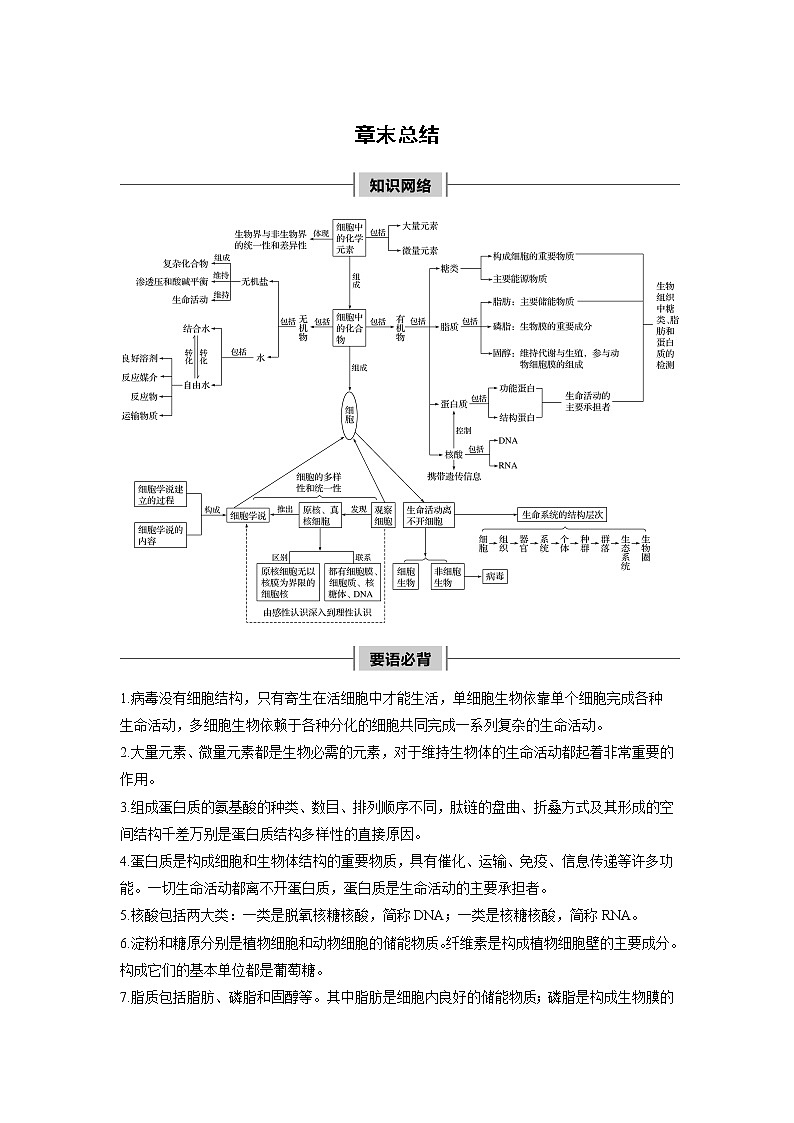 高中生物人教版（2019）必修第一册  第2章 章末总结教案01