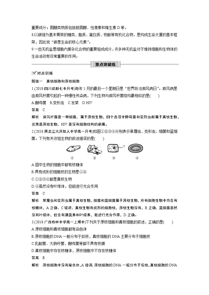 高中生物人教版（2019）必修第一册  第2章 章末总结教案02