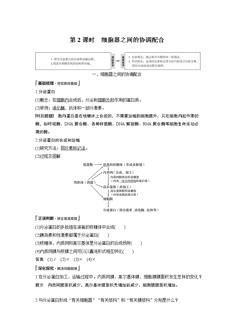 高中生物人教版（2019）必修第一册  第3章 第2节 第2课时　细胞器之间的协调配合教案01