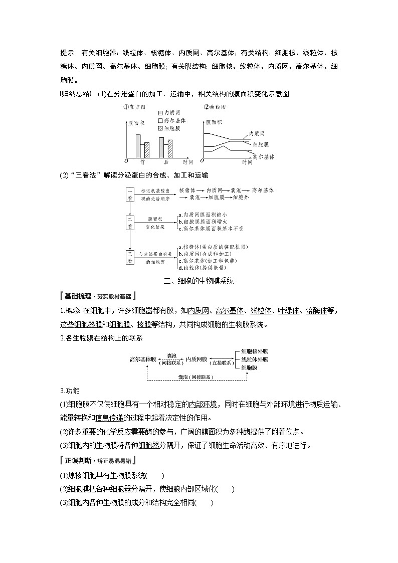 高中生物人教版（2019）必修第一册  第3章 第2节 第2课时　细胞器之间的协调配合教案02