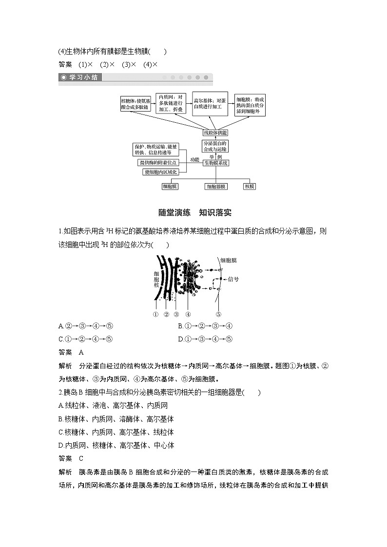 高中生物人教版（2019）必修第一册  第3章 第2节 第2课时　细胞器之间的协调配合教案03