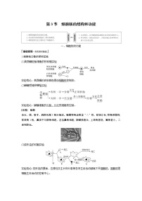 高中生物人教版 (2019)必修1《分子与细胞》第3节 细胞核的结构和功能教学设计