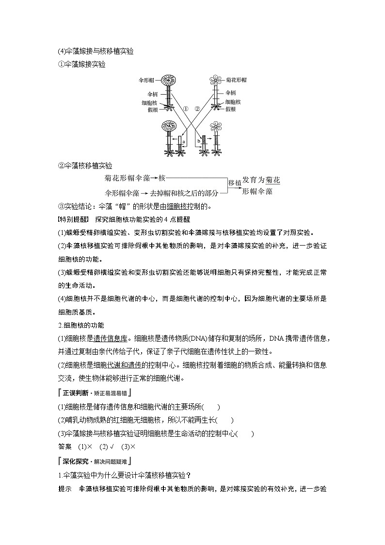高中生物人教版（2019）必修第一册  第3章 第3节　细胞核的结构和功能教案02