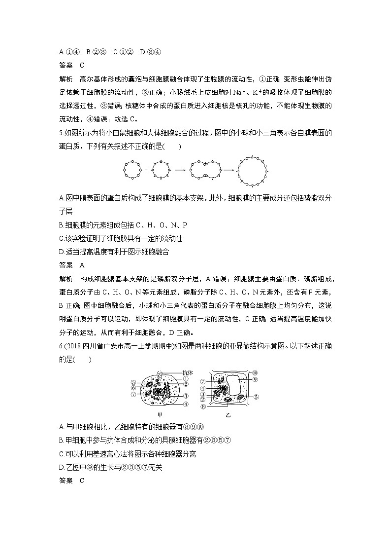 高中生物人教版（2019）必修第一册  章末检测试卷(第3章)02