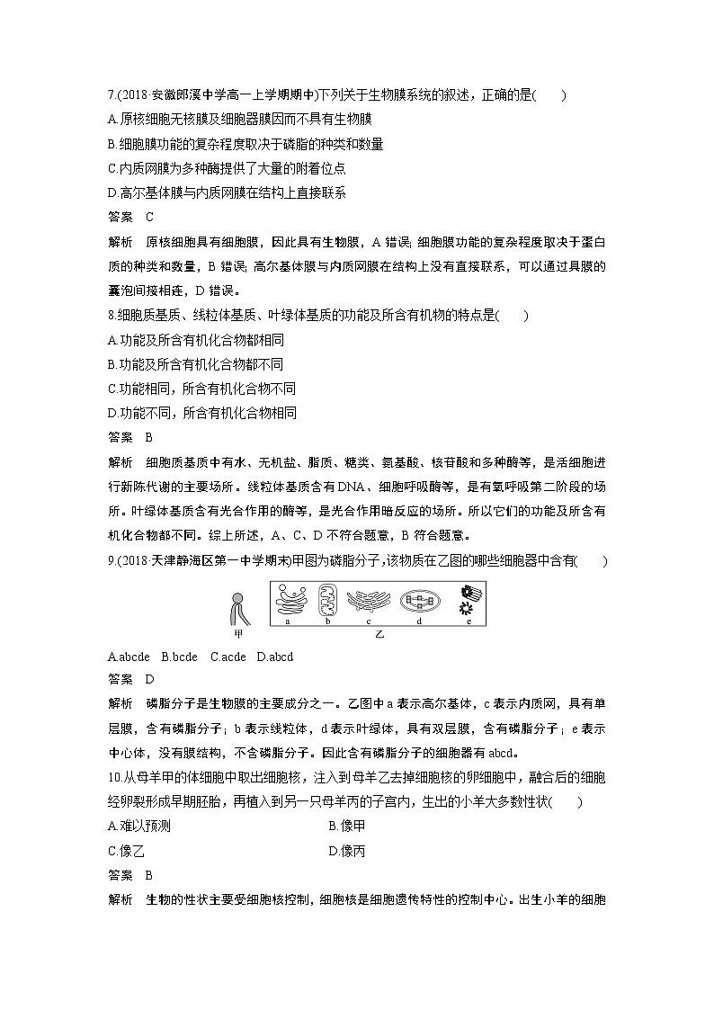 高中生物人教版（2019）必修第一册  章末检测试卷(第3章)03